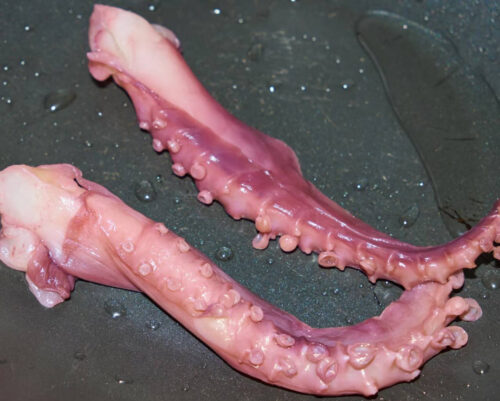 Crispy Octopus Whiskers photo review